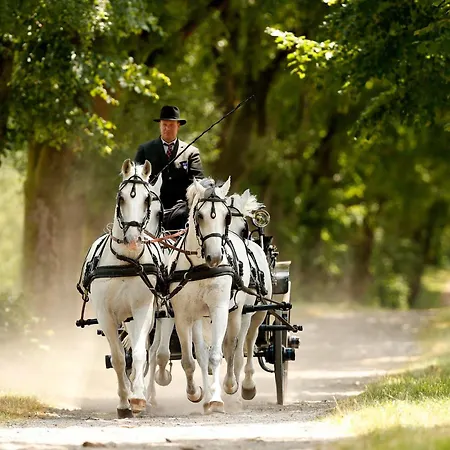 Lejlighed Casa Istriana With Free Parking *