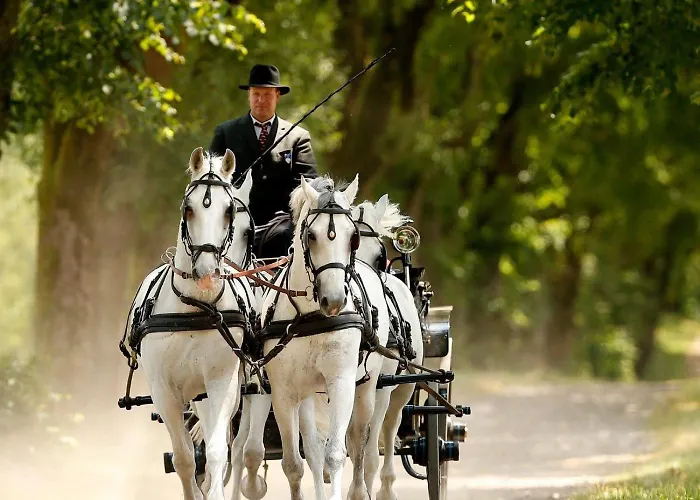 Appartement Casa Istriana With Free Parking *